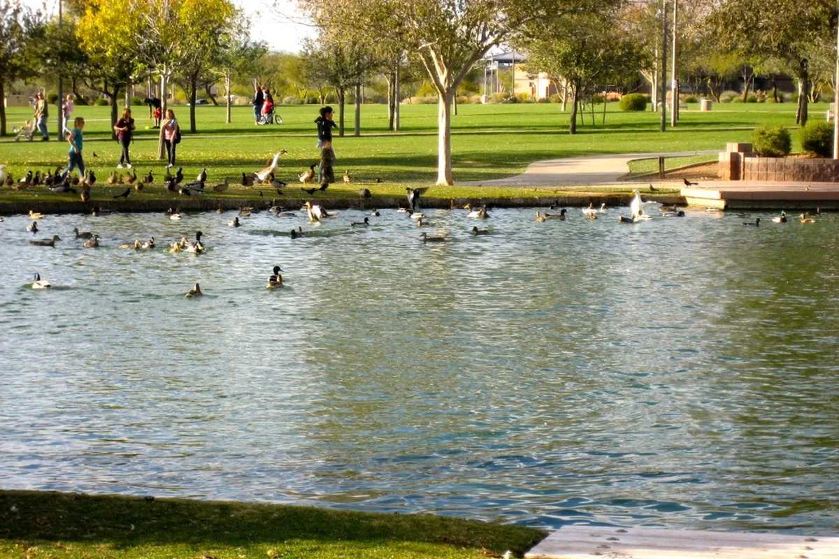 Anthem Community Park in Anthem, Arizona