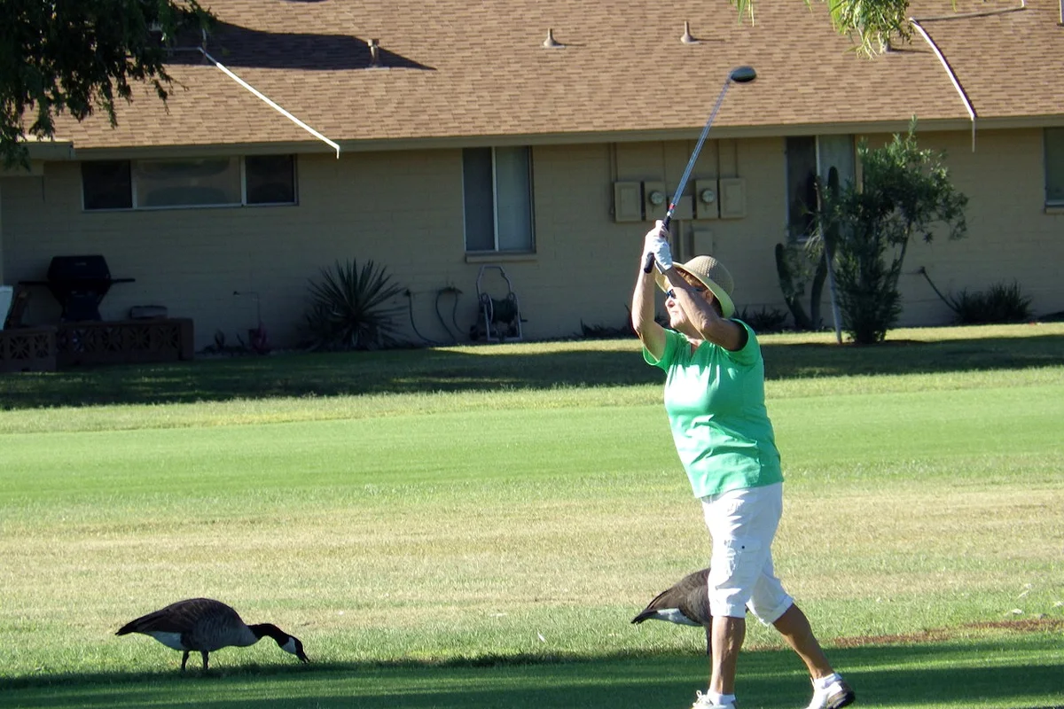 Golf course scenery in Sun City, Arizona